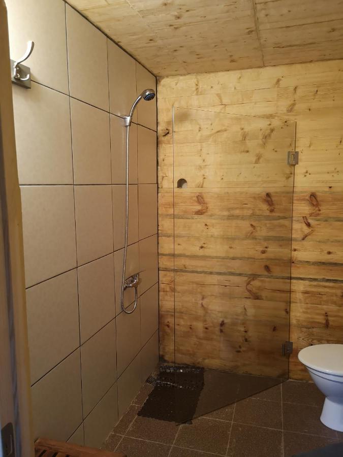 Brivdienu Maja "Raudini" Kaltene Esterno foto