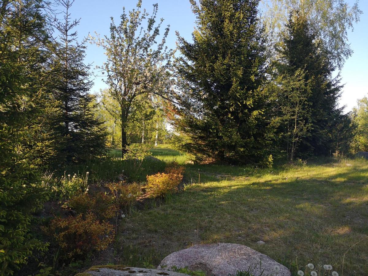 Brivdienu Maja "Raudini" Kaltene Esterno foto