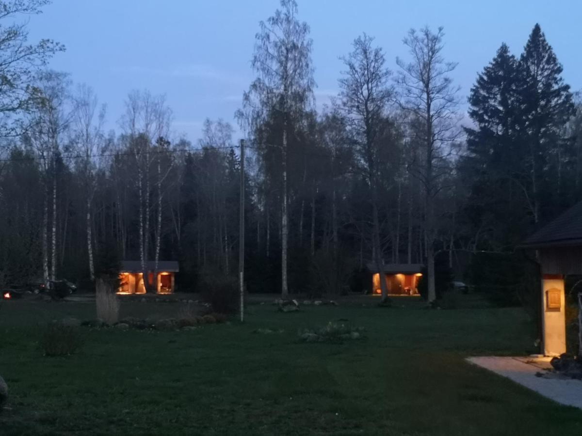 Brivdienu Maja "Raudini" Kaltene Esterno foto
