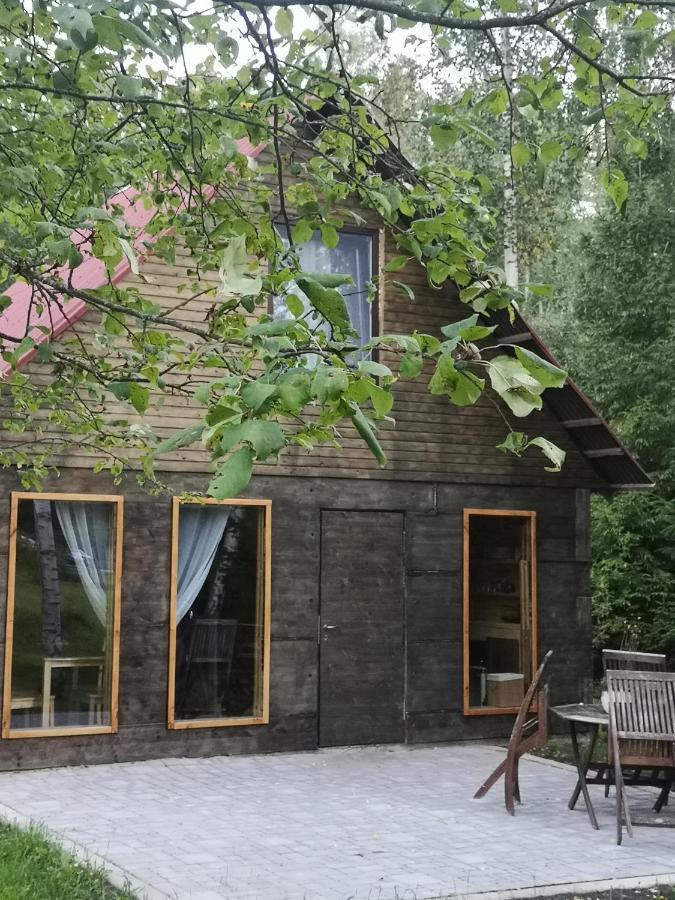 Brivdienu Maja "Raudini" Kaltene Esterno foto