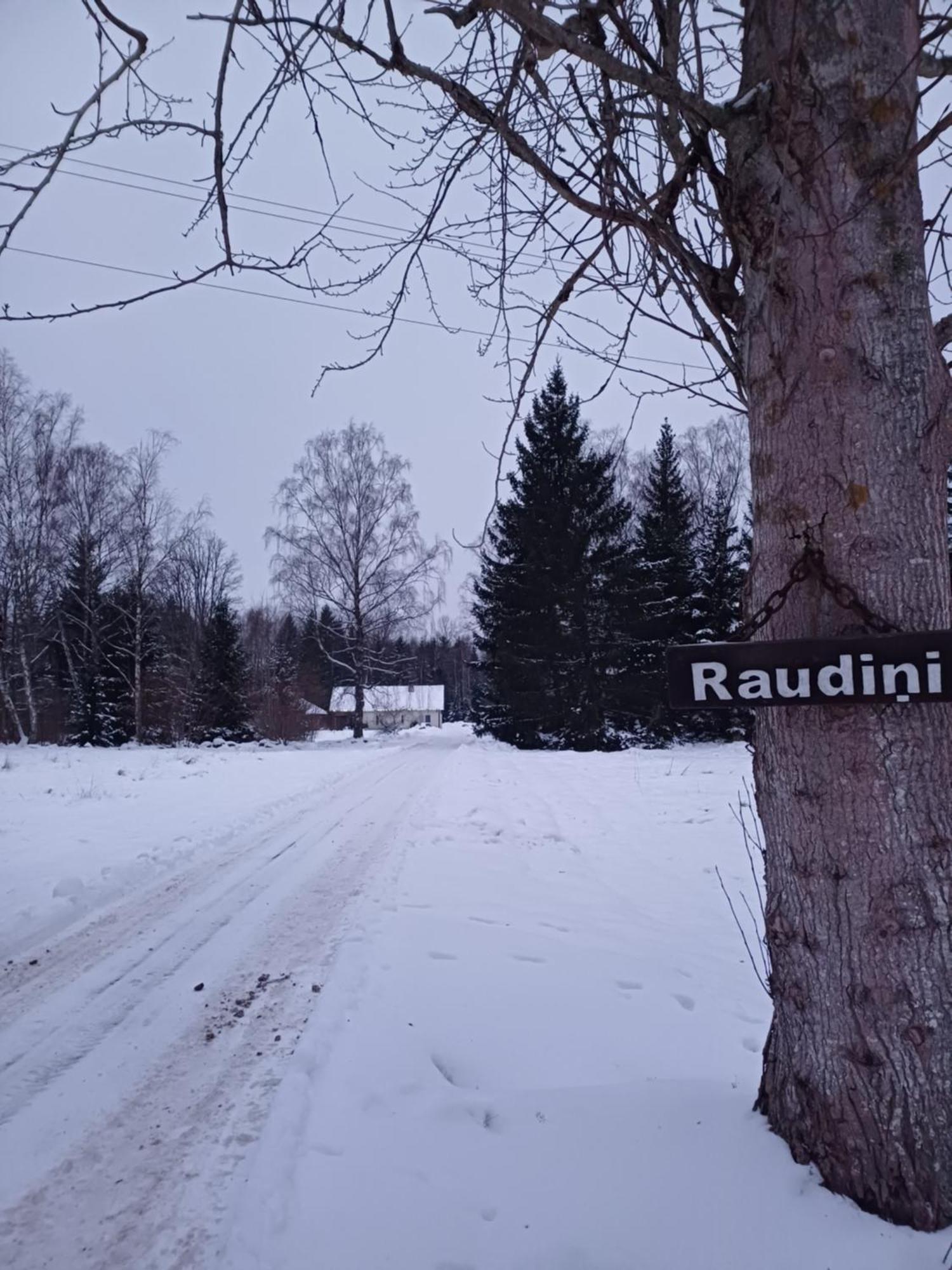 Brivdienu Maja "Raudini" Kaltene Esterno foto