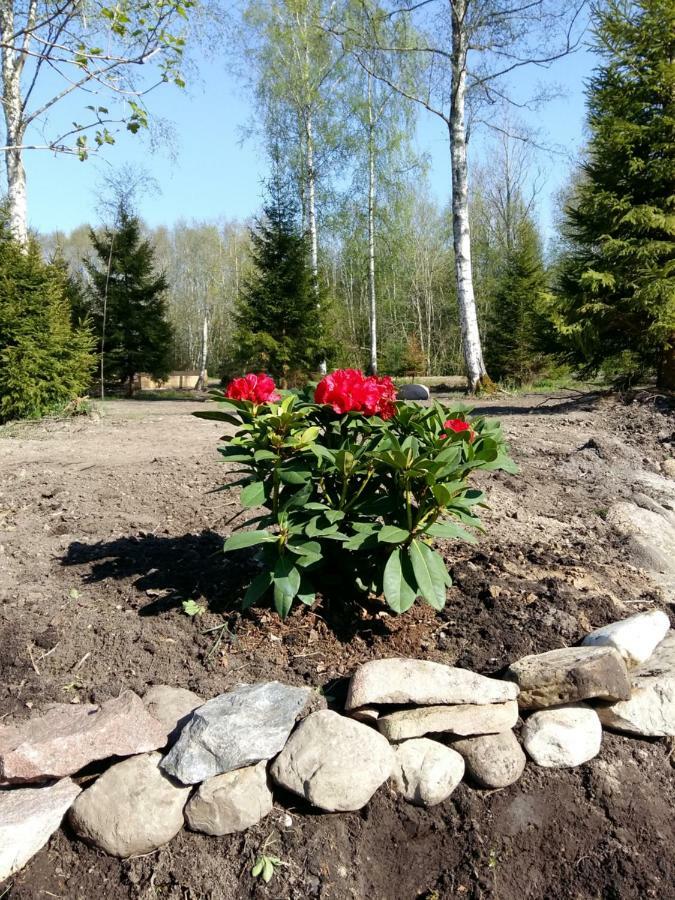 Brivdienu Maja "Raudini" Kaltene Esterno foto