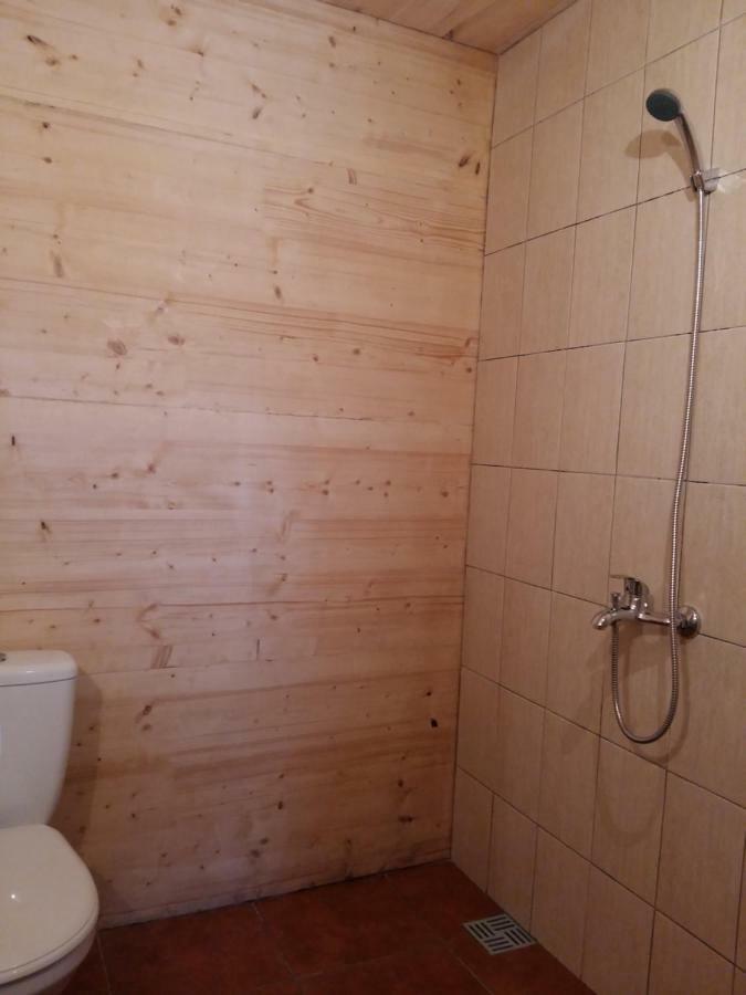 Brivdienu Maja "Raudini" Kaltene Esterno foto